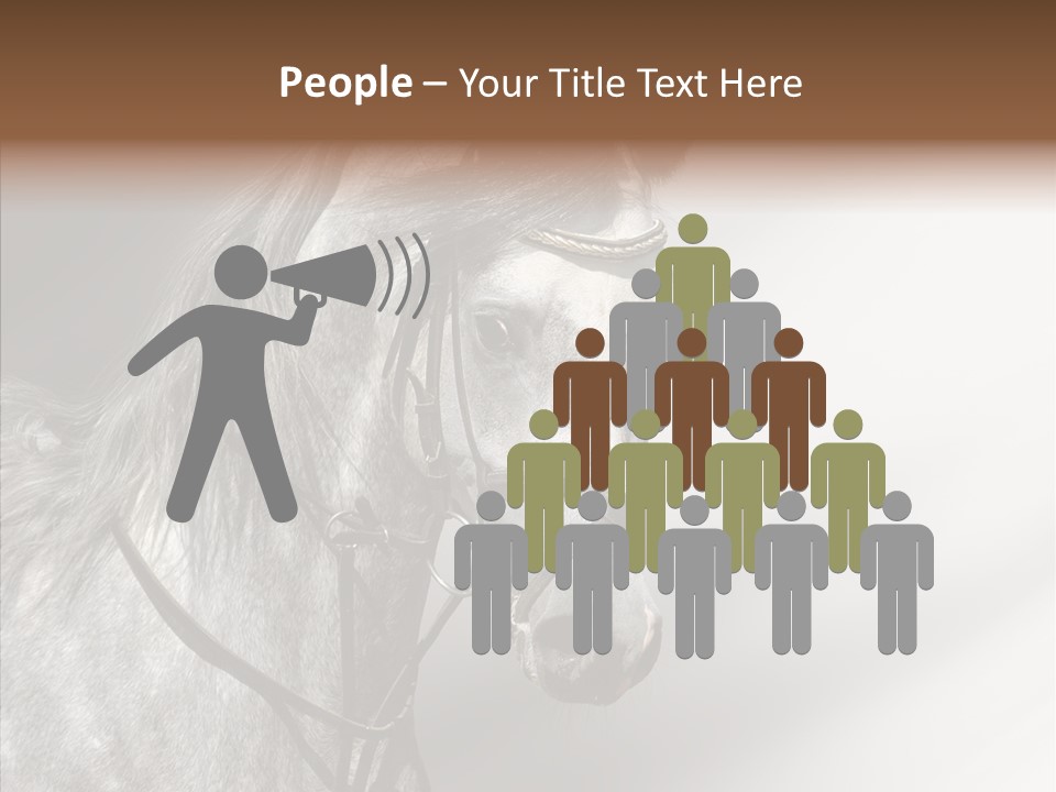 Stallion Active Horse PowerPoint Template