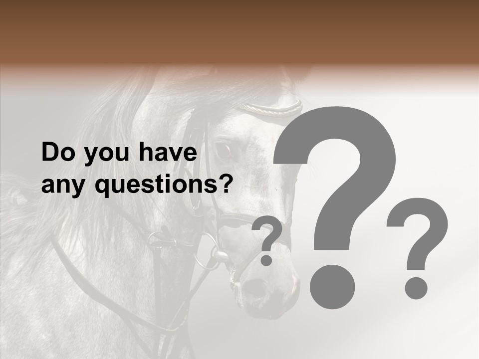 Stallion Active Horse PowerPoint Template