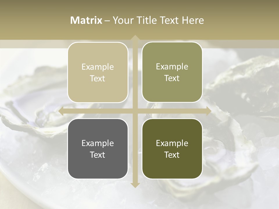 Group Meeting Itting PowerPoint Template