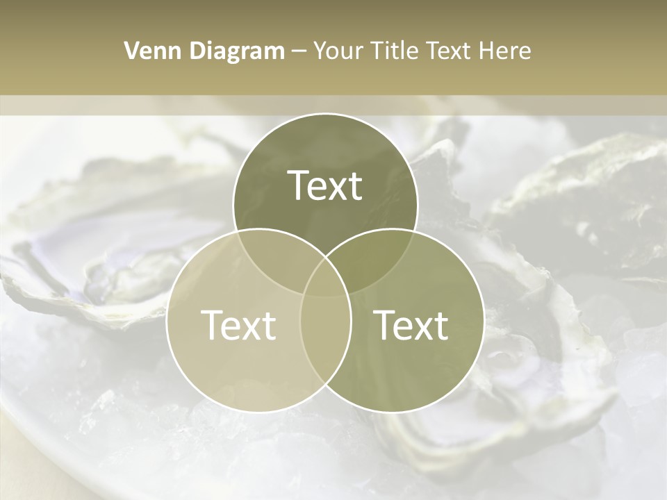 Group Meeting Itting PowerPoint Template