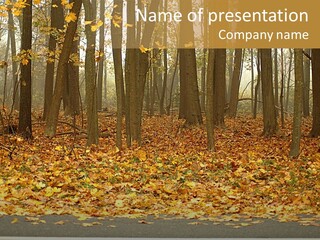 Yellow Mist Trees PowerPoint Template