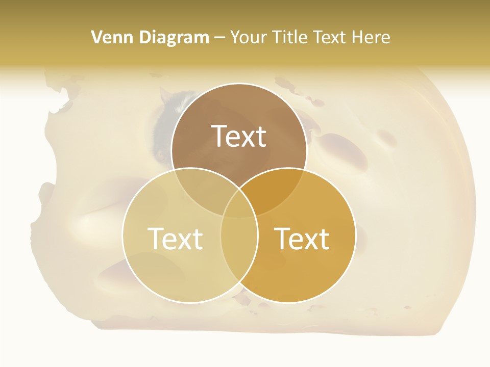 Bright Celebration Mouse PowerPoint Template