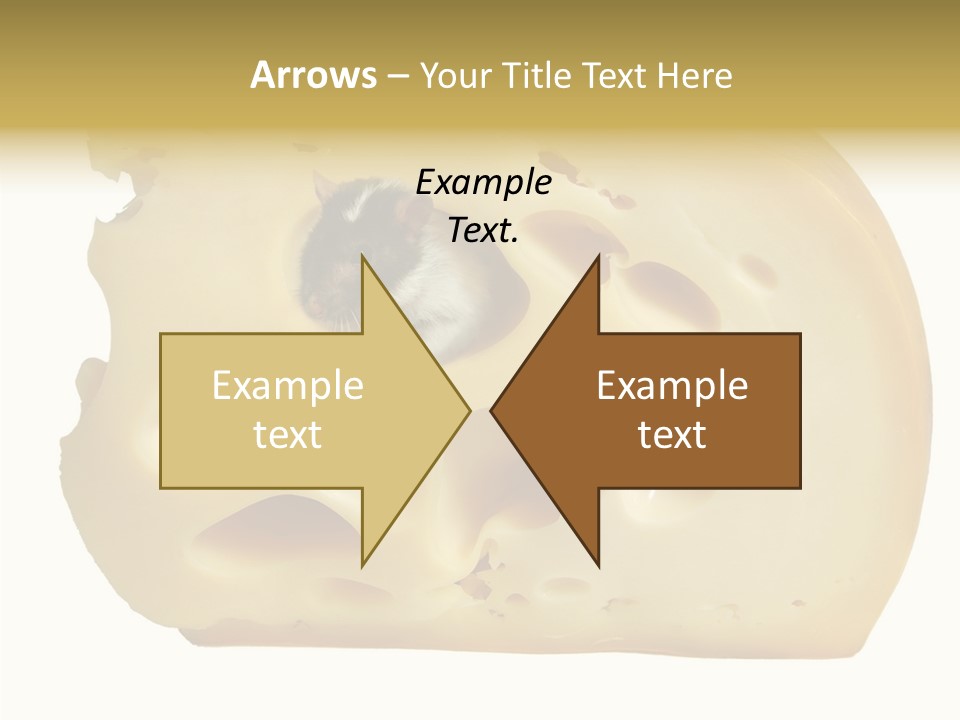 Bright Celebration Mouse PowerPoint Template