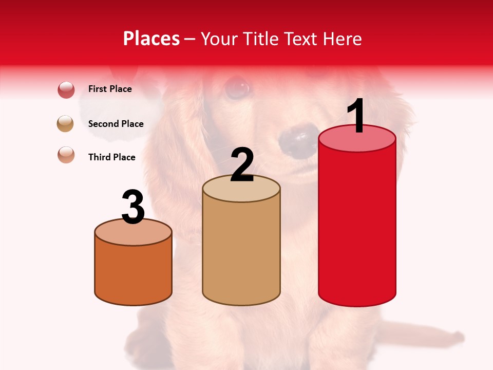 Obedient Domestic Sitting PowerPoint Template