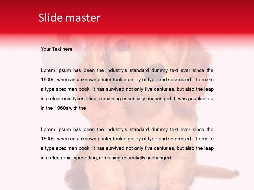 Obedient Domestic Sitting PowerPoint Template