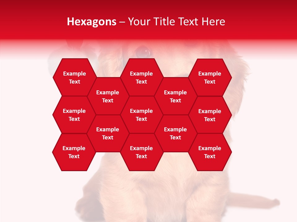 Obedient Domestic Sitting PowerPoint Template