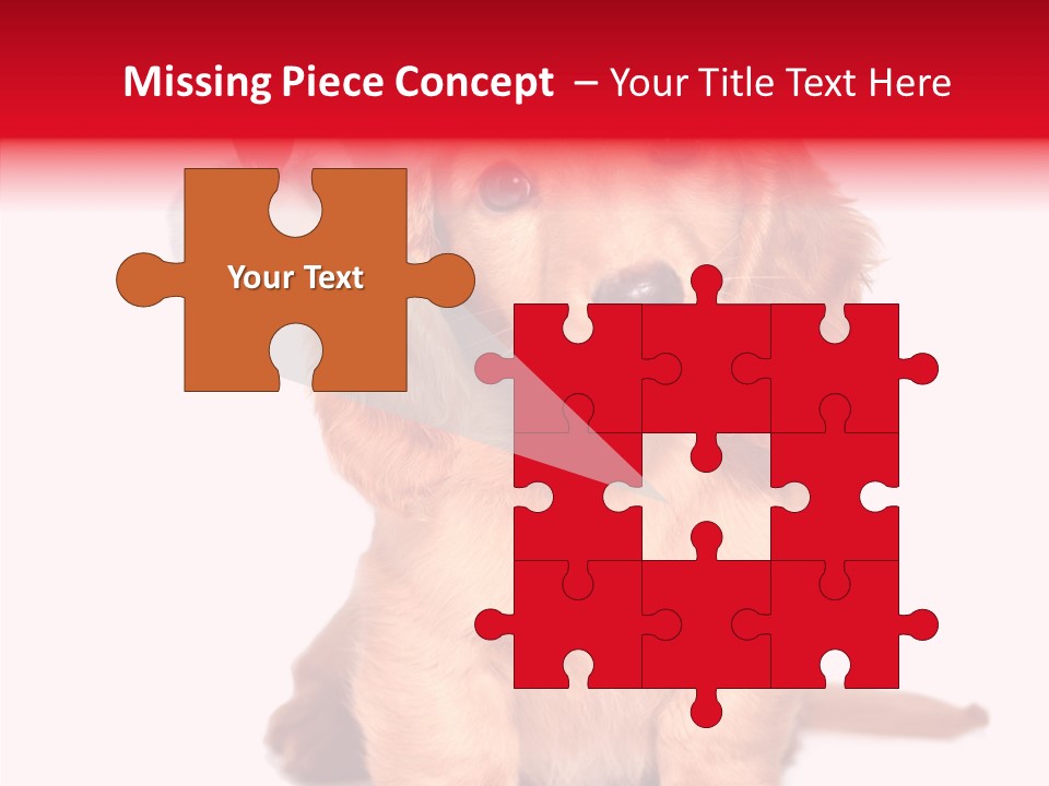 Obedient Domestic Sitting PowerPoint Template