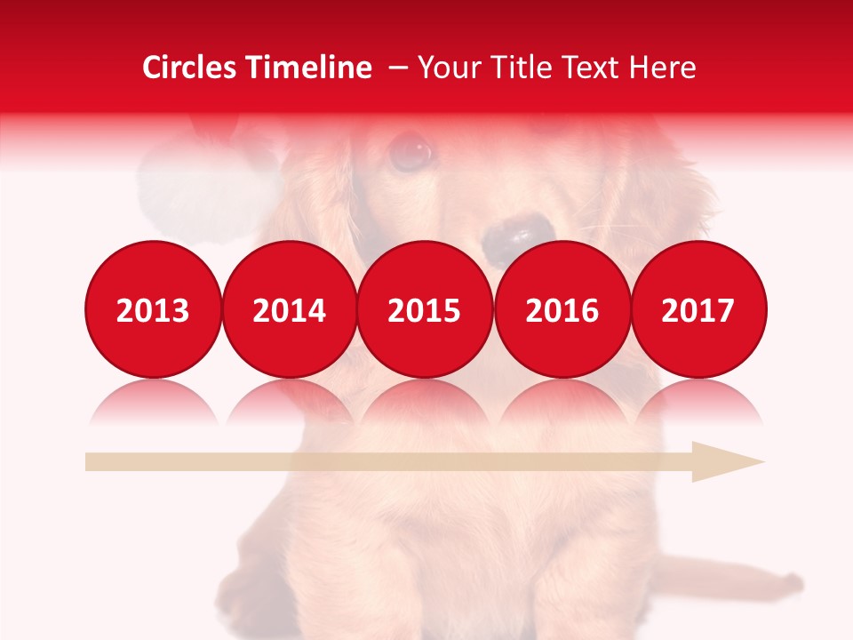 Obedient Domestic Sitting PowerPoint Template