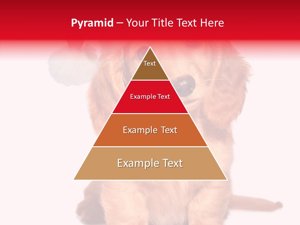 Obedient Domestic Sitting PowerPoint Template