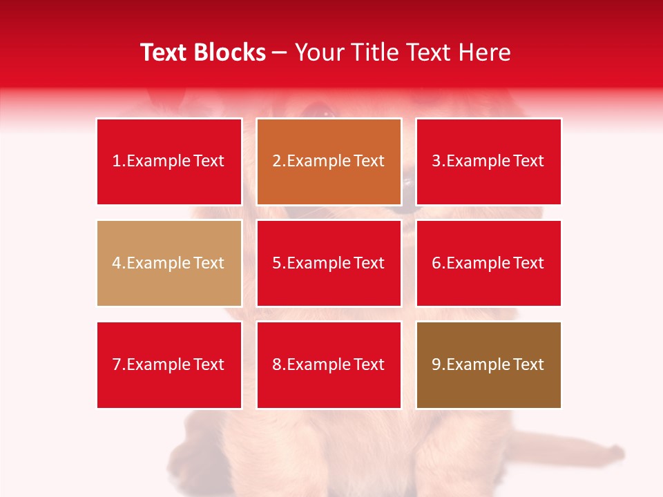 Obedient Domestic Sitting PowerPoint Template