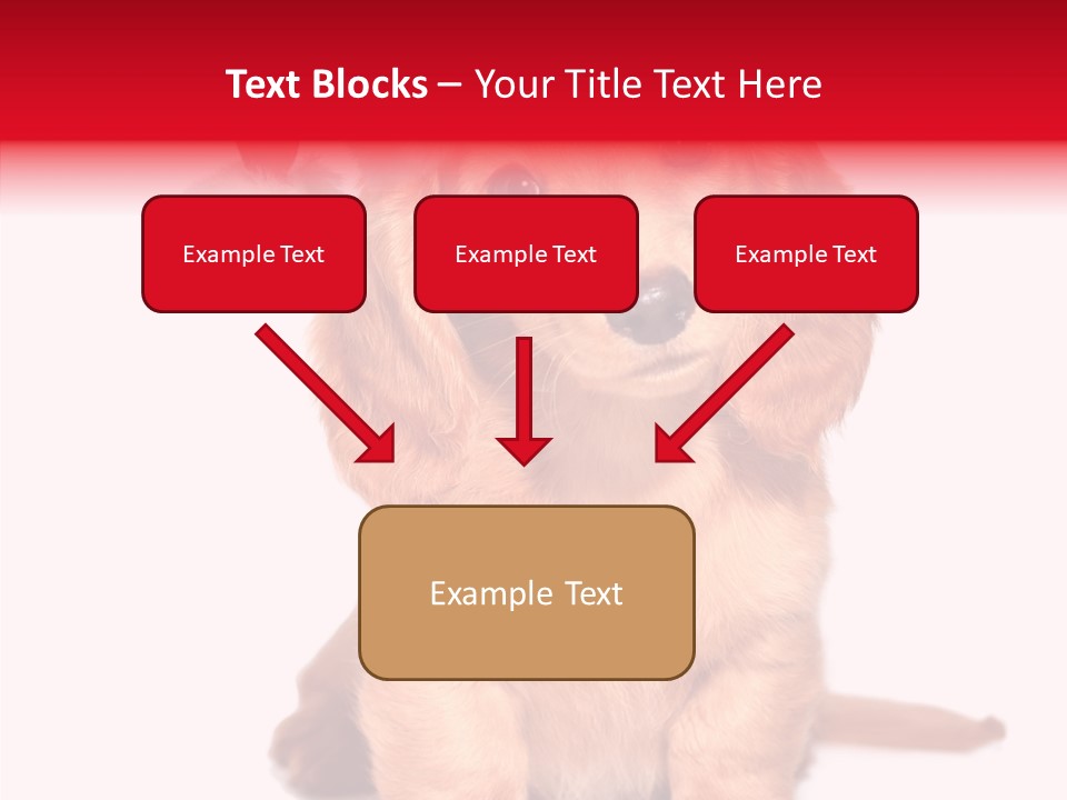 Obedient Domestic Sitting PowerPoint Template