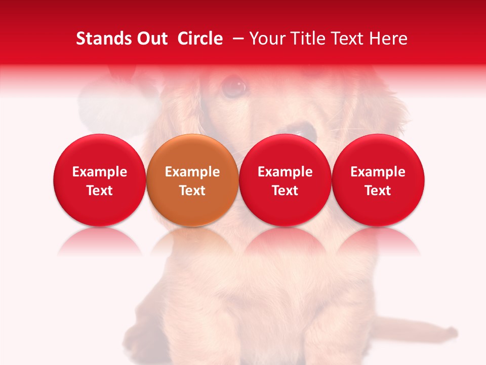 Obedient Domestic Sitting PowerPoint Template