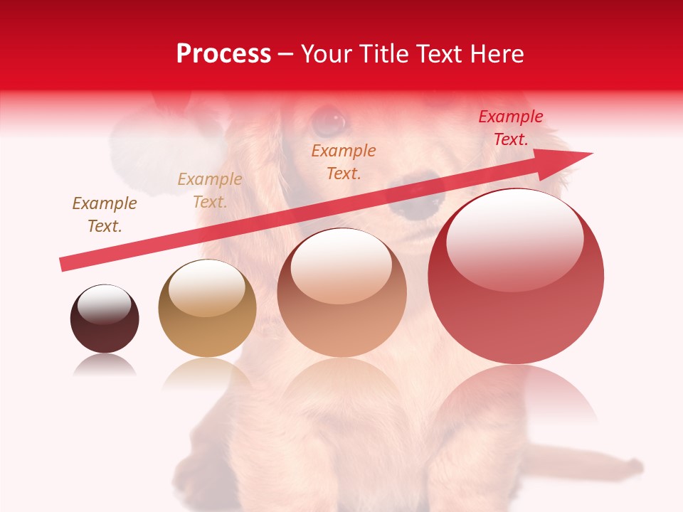 Obedient Domestic Sitting PowerPoint Template