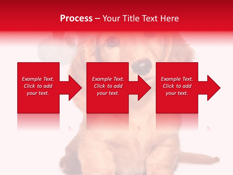 Obedient Domestic Sitting PowerPoint Template