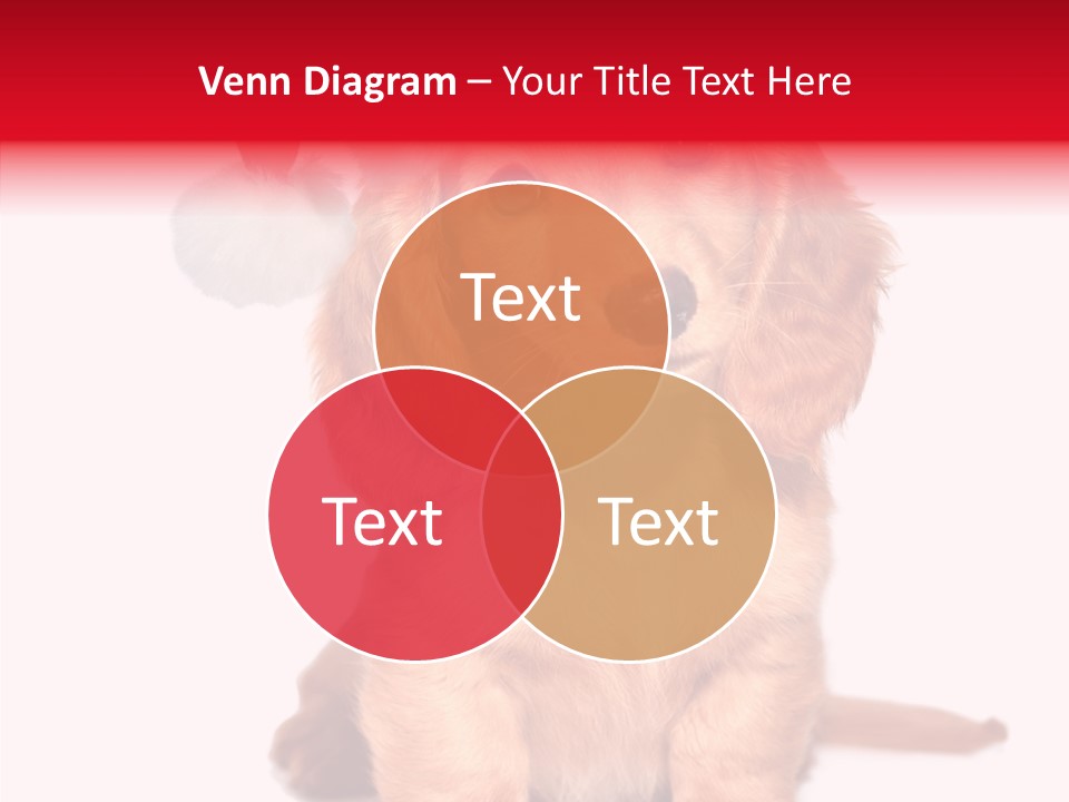 Obedient Domestic Sitting PowerPoint Template