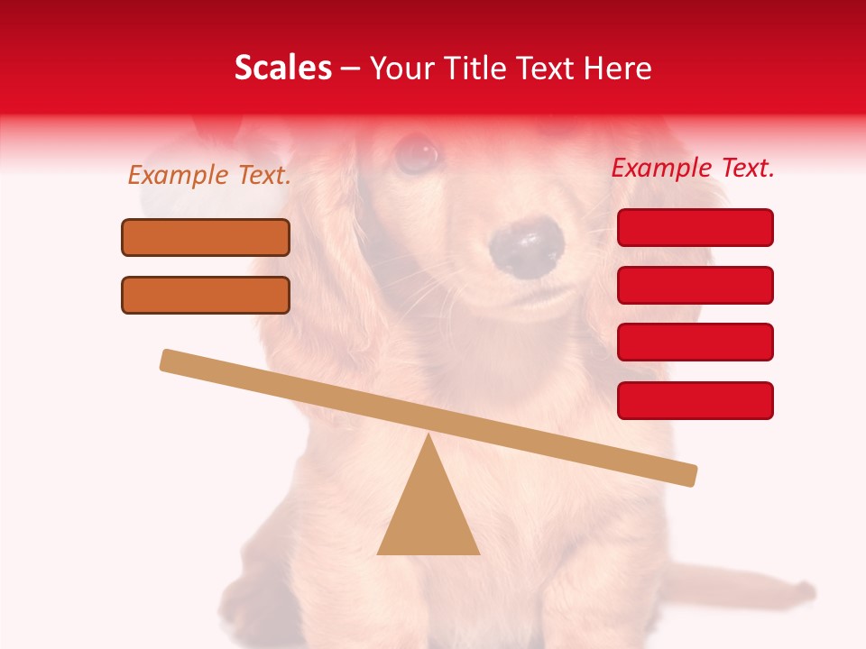 Obedient Domestic Sitting PowerPoint Template