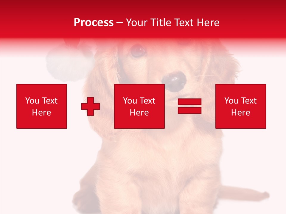 Obedient Domestic Sitting PowerPoint Template
