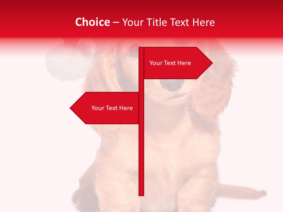 Obedient Domestic Sitting PowerPoint Template