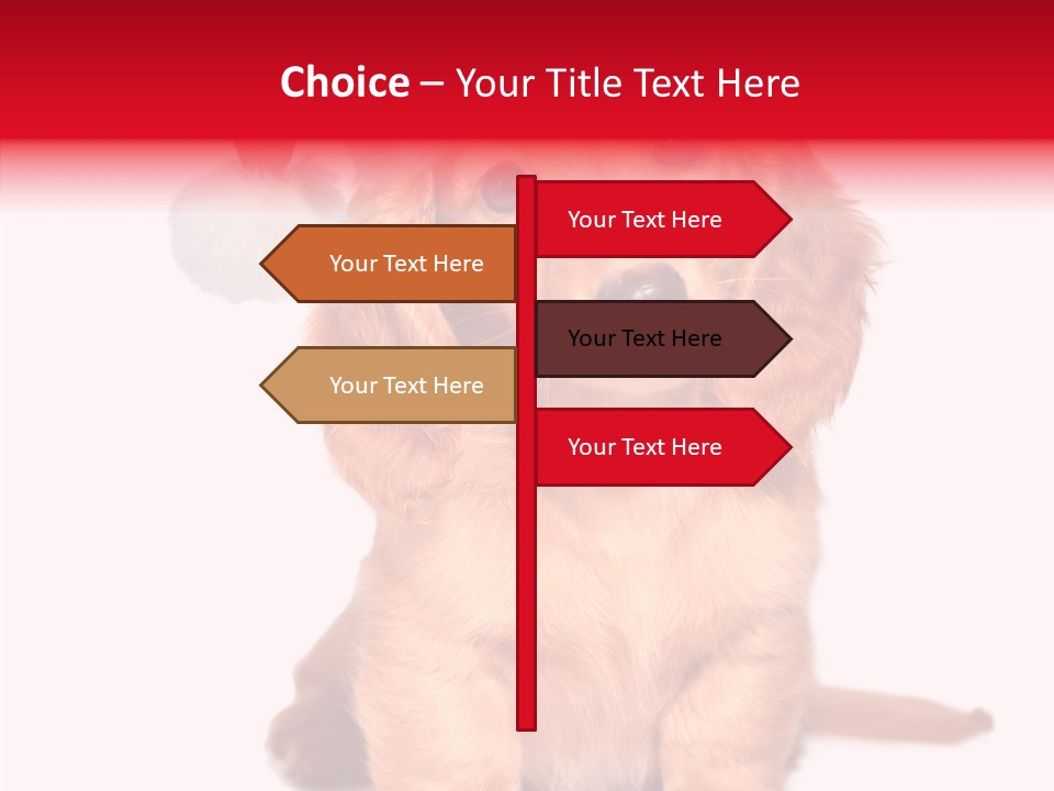 Obedient Domestic Sitting PowerPoint Template