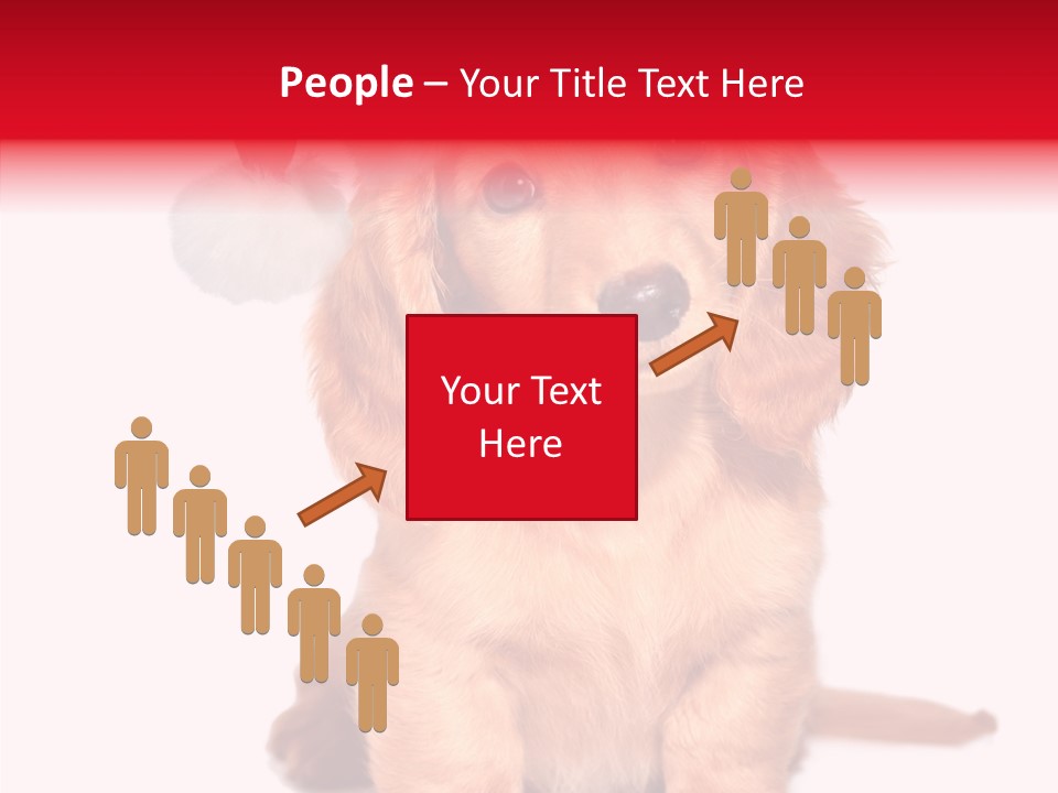 Obedient Domestic Sitting PowerPoint Template