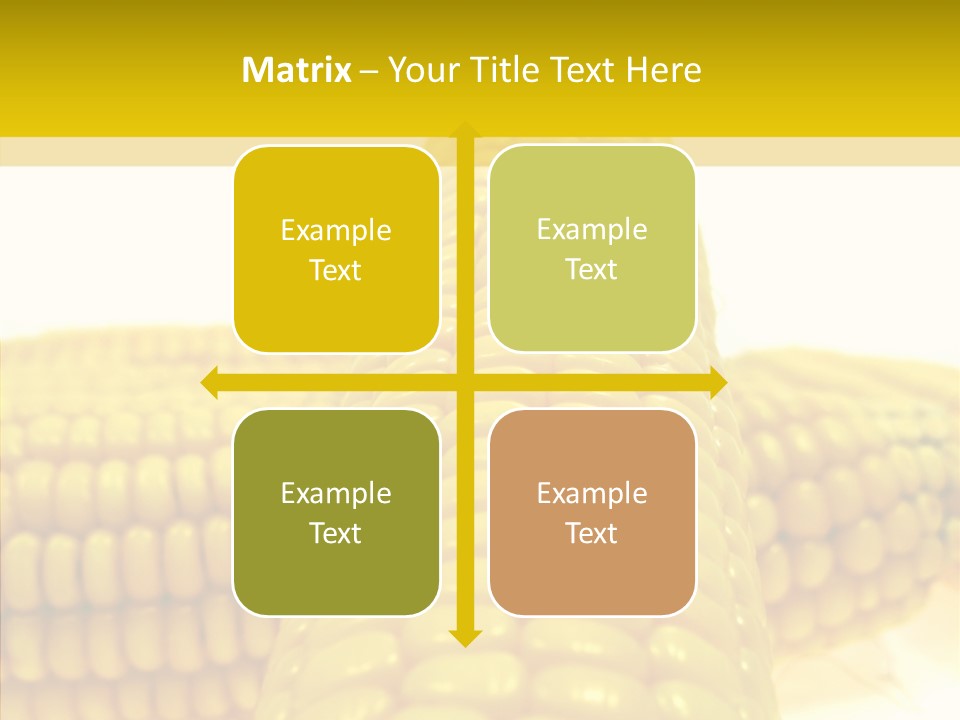 Corn Delicious Culture PowerPoint Template