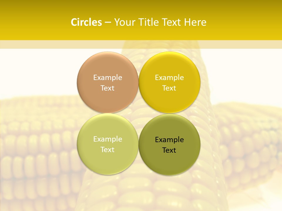 Corn Delicious Culture PowerPoint Template