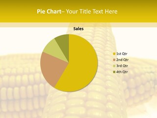 Corn Delicious Culture PowerPoint Template