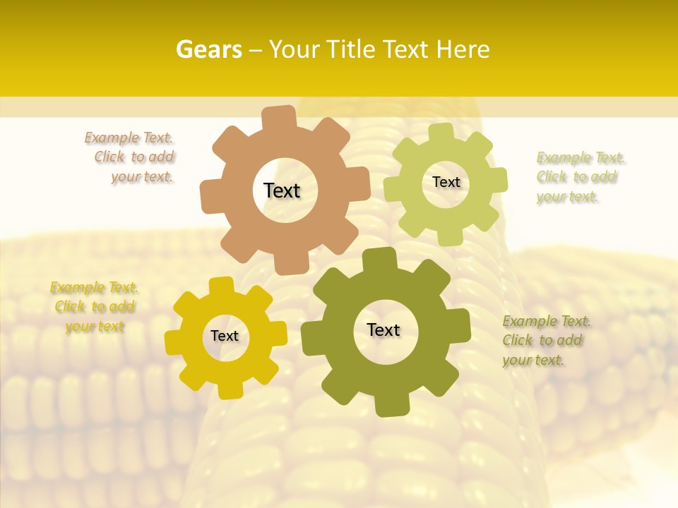 Corn Delicious Culture PowerPoint Template