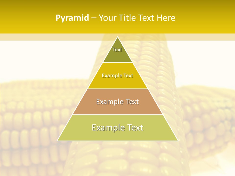 Corn Delicious Culture PowerPoint Template