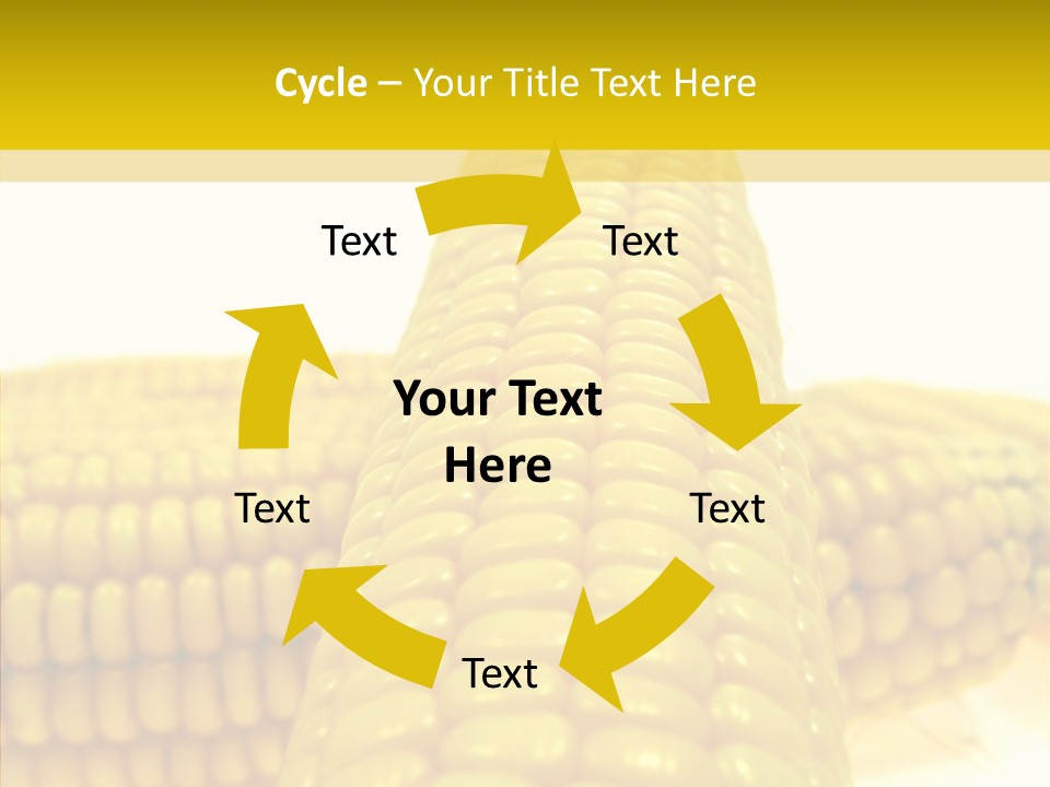 Corn Delicious Culture PowerPoint Template