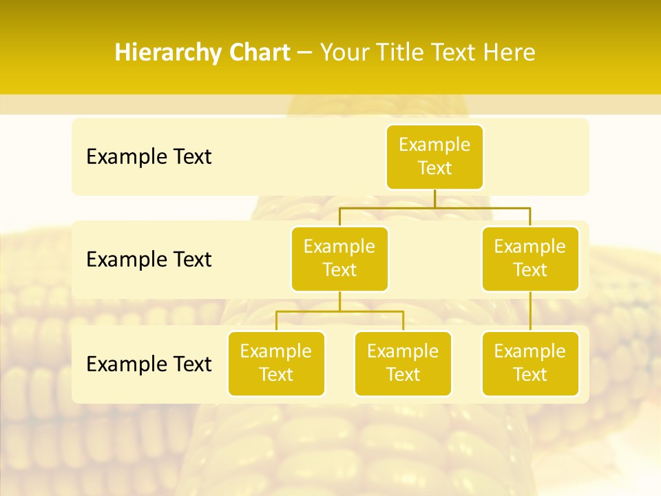Corn Delicious Culture PowerPoint Template