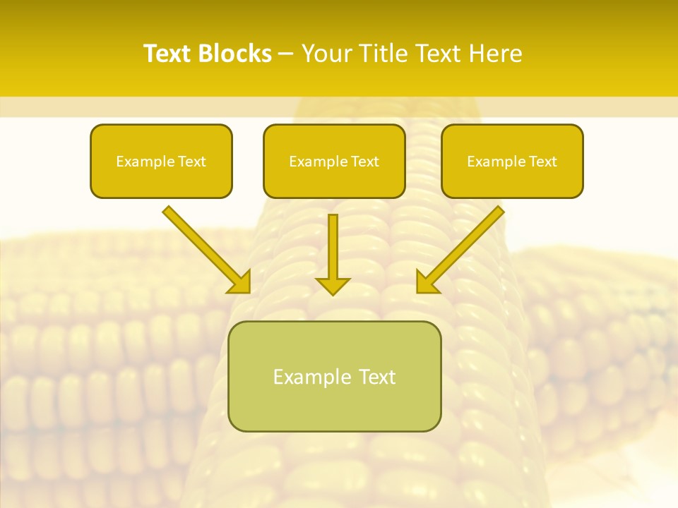 Corn Delicious Culture PowerPoint Template