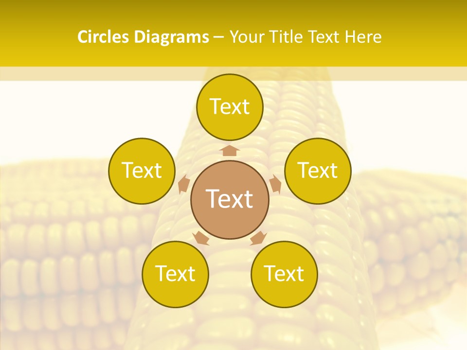Corn Delicious Culture PowerPoint Template