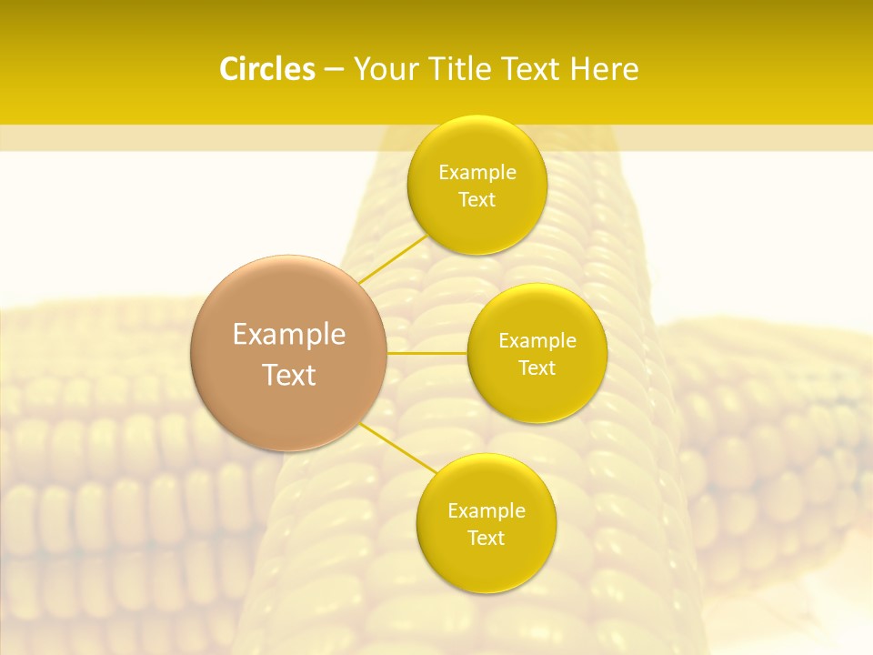 Corn Delicious Culture PowerPoint Template