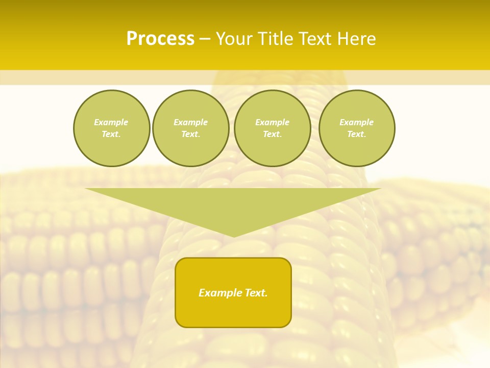 Corn Delicious Culture PowerPoint Template
