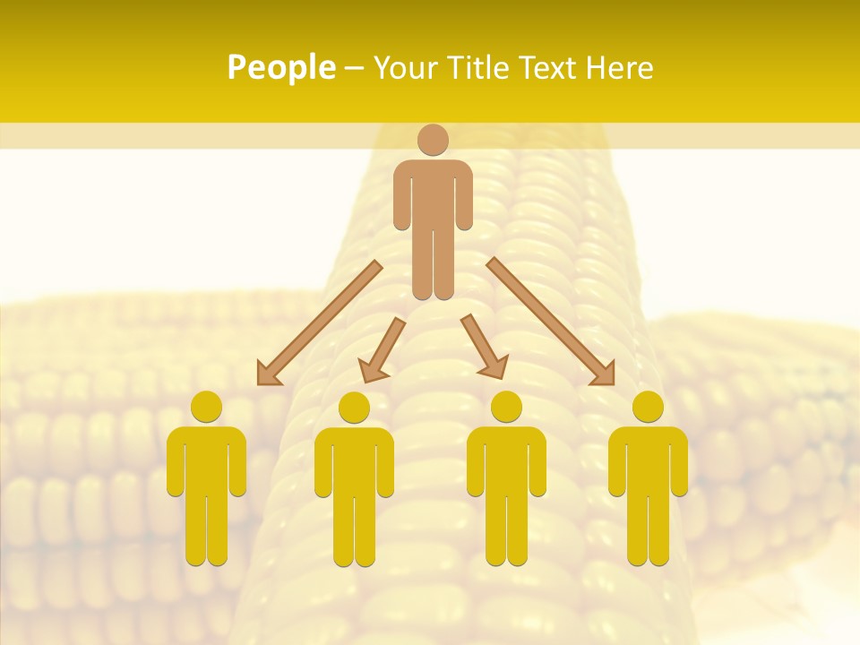 Corn Delicious Culture PowerPoint Template