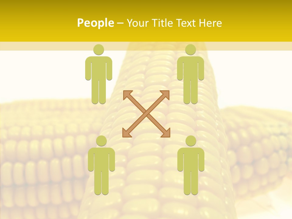 Corn Delicious Culture PowerPoint Template