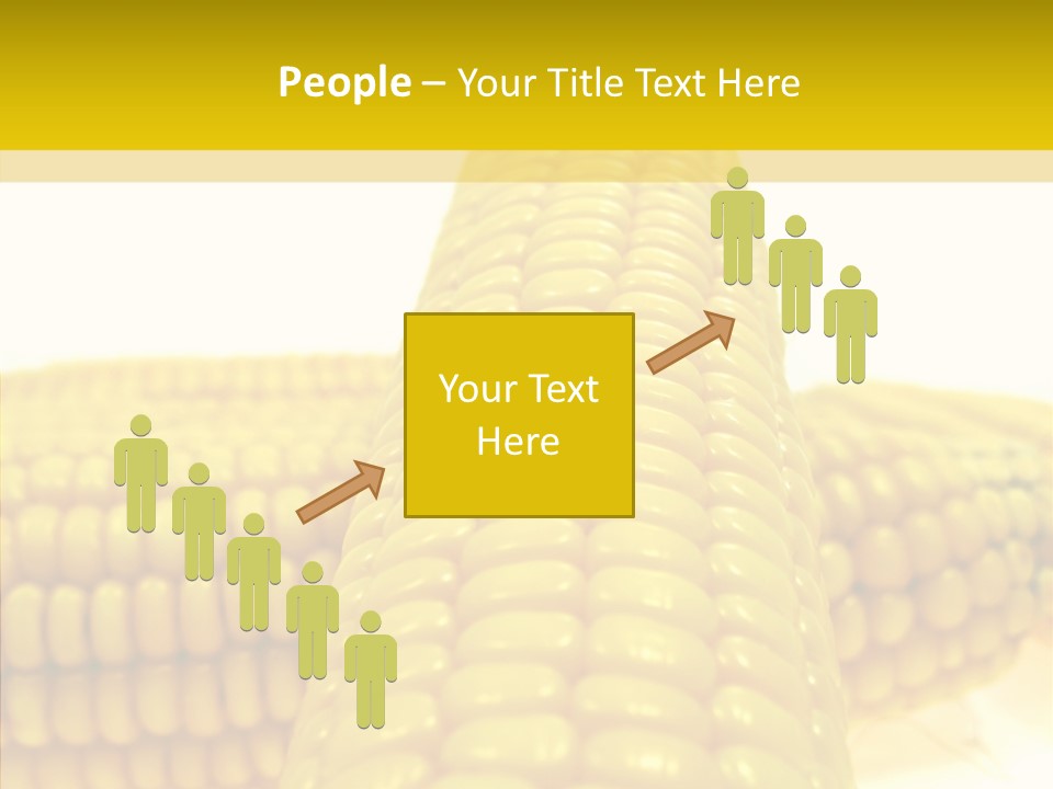 Corn Delicious Culture PowerPoint Template