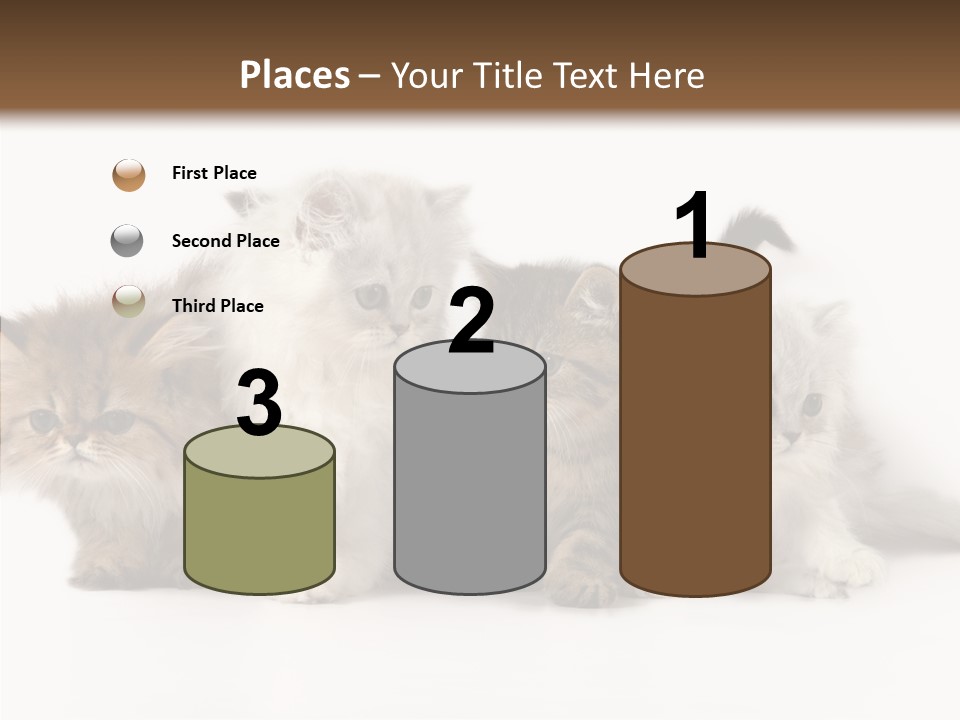 Black Cat Puss PowerPoint Template