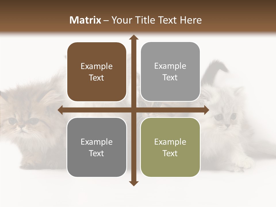 Black Cat Puss PowerPoint Template