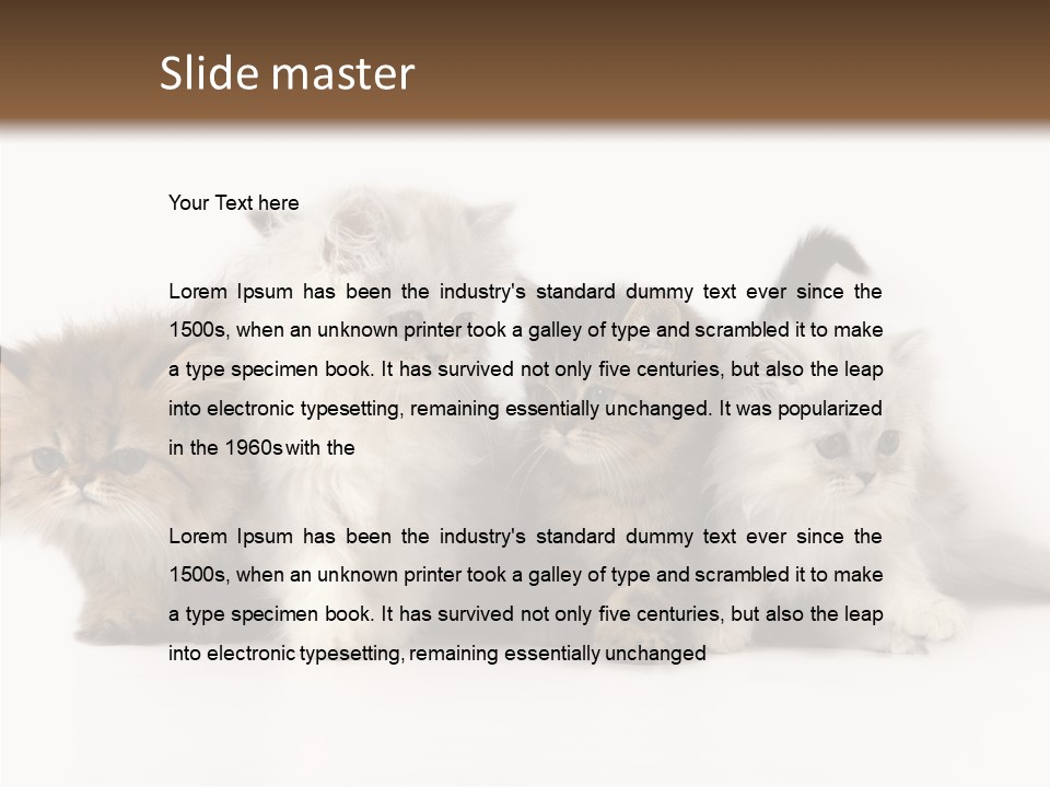 Black Cat Puss PowerPoint Template