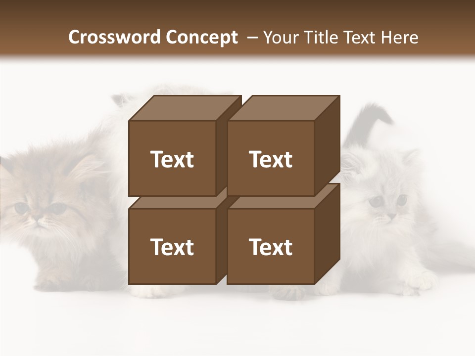 Black Cat Puss PowerPoint Template