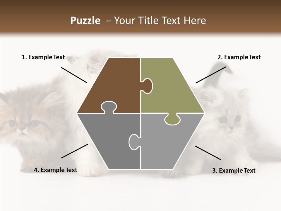 Black Cat Puss PowerPoint Template