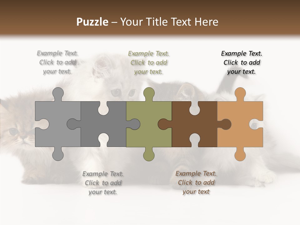 Black Cat Puss PowerPoint Template