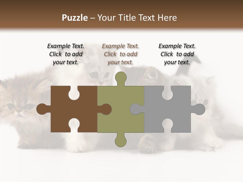 Black Cat Puss PowerPoint Template