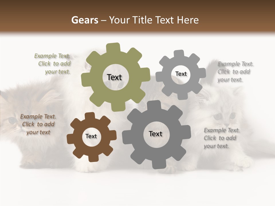 Black Cat Puss PowerPoint Template