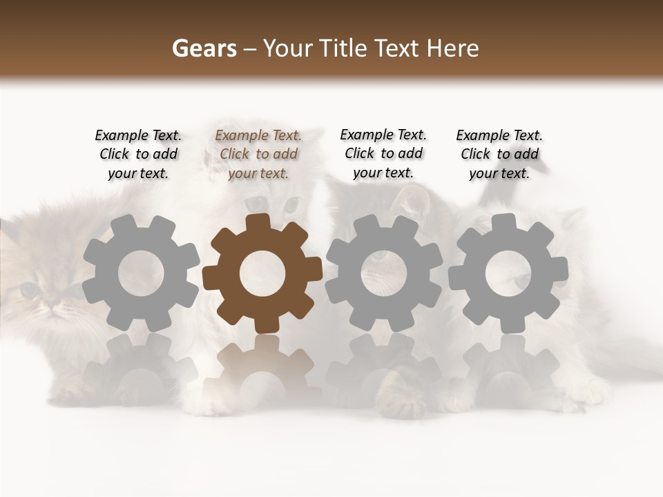 Black Cat Puss PowerPoint Template