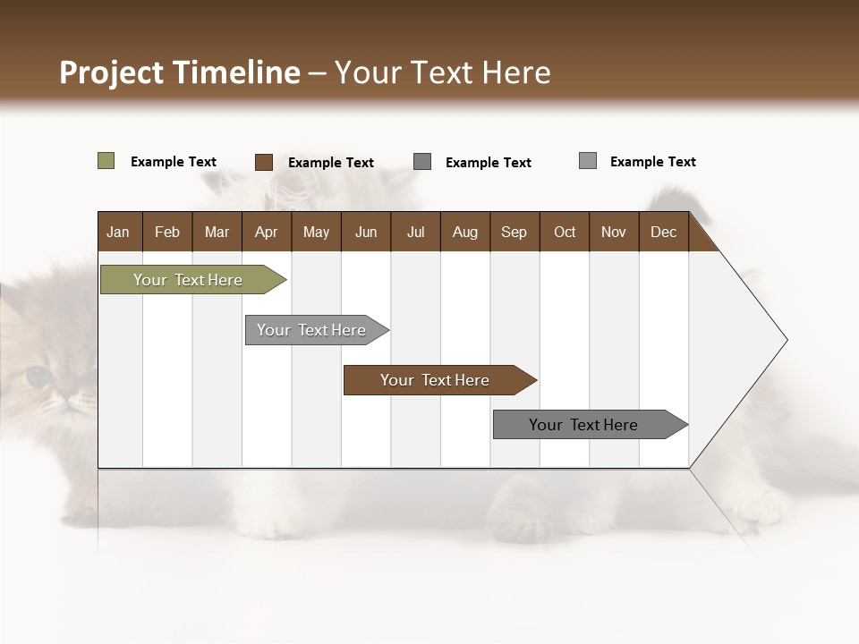 Black Cat Puss PowerPoint Template