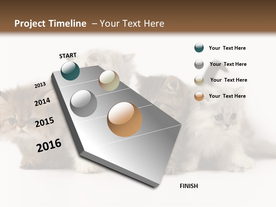 Black Cat Puss PowerPoint Template