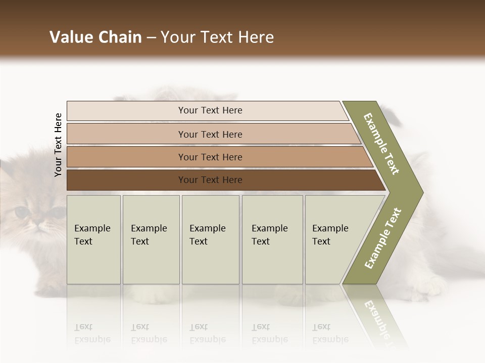 Black Cat Puss PowerPoint Template